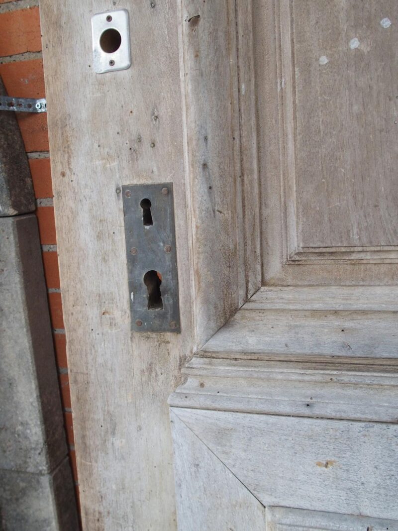 Heavy 19th Century French Walnut Entry Door with Carved Urn and Foliate Motifs - Image 9