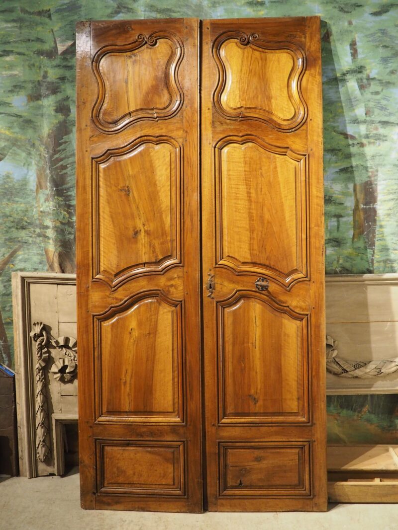 Pair of Tall 18th Century Walnut Interior Doors from Aix-en-Provence, France - Image 5