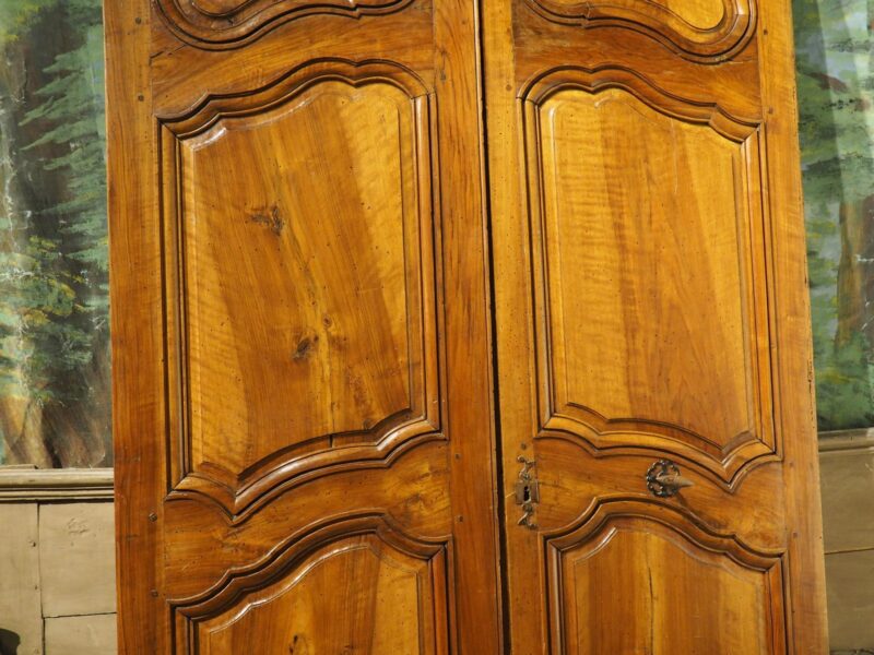 Pair of Tall 18th Century Walnut Interior Doors from Aix-en-Provence, France - Image 7