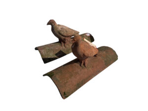 Set of French Terra Cotta Dove Roof Tiles, 1960s